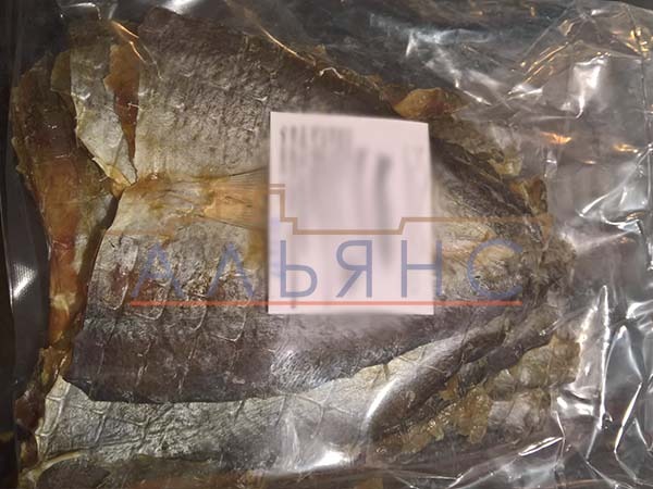 Царский полосатик с перцем в Магнитогорске